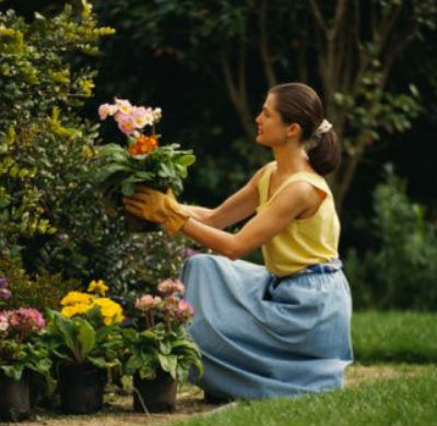 jardineria consejos para principiantes