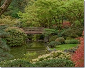 jardin-japones