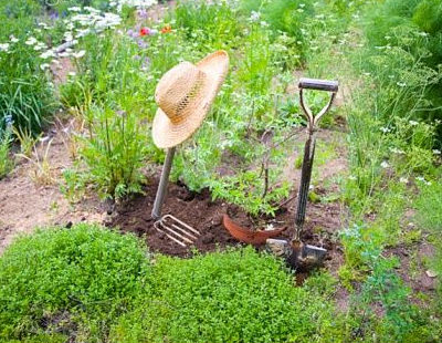 herramientas necesarias para el jardin